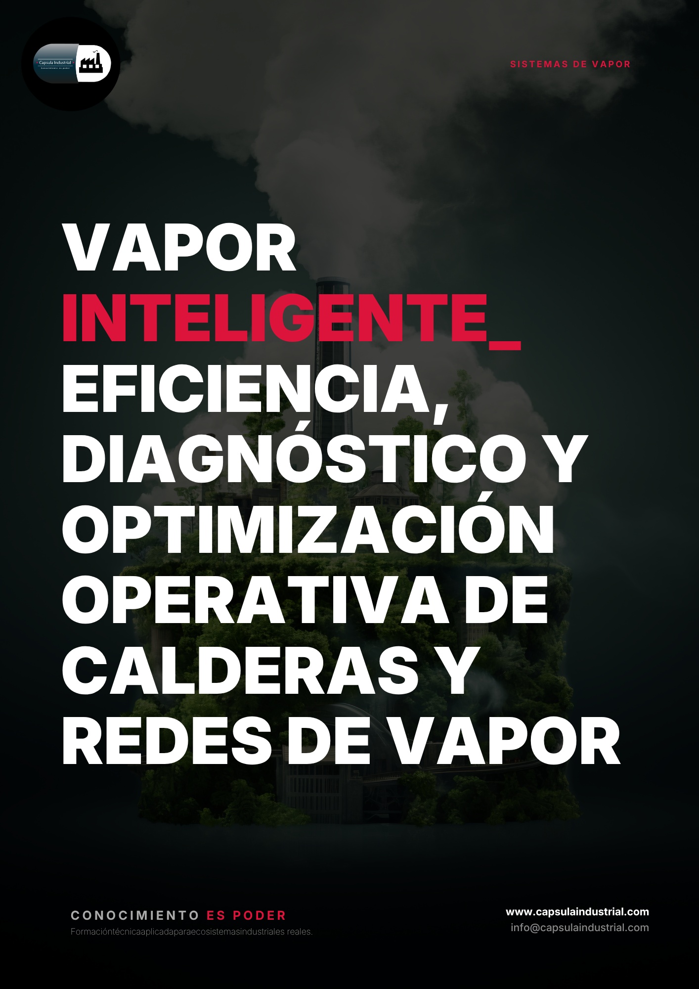 Vapor Inteligente_ Eficiencia, Diagnóstico y Optimización Operativa de Calderas y Redes de Vapor
