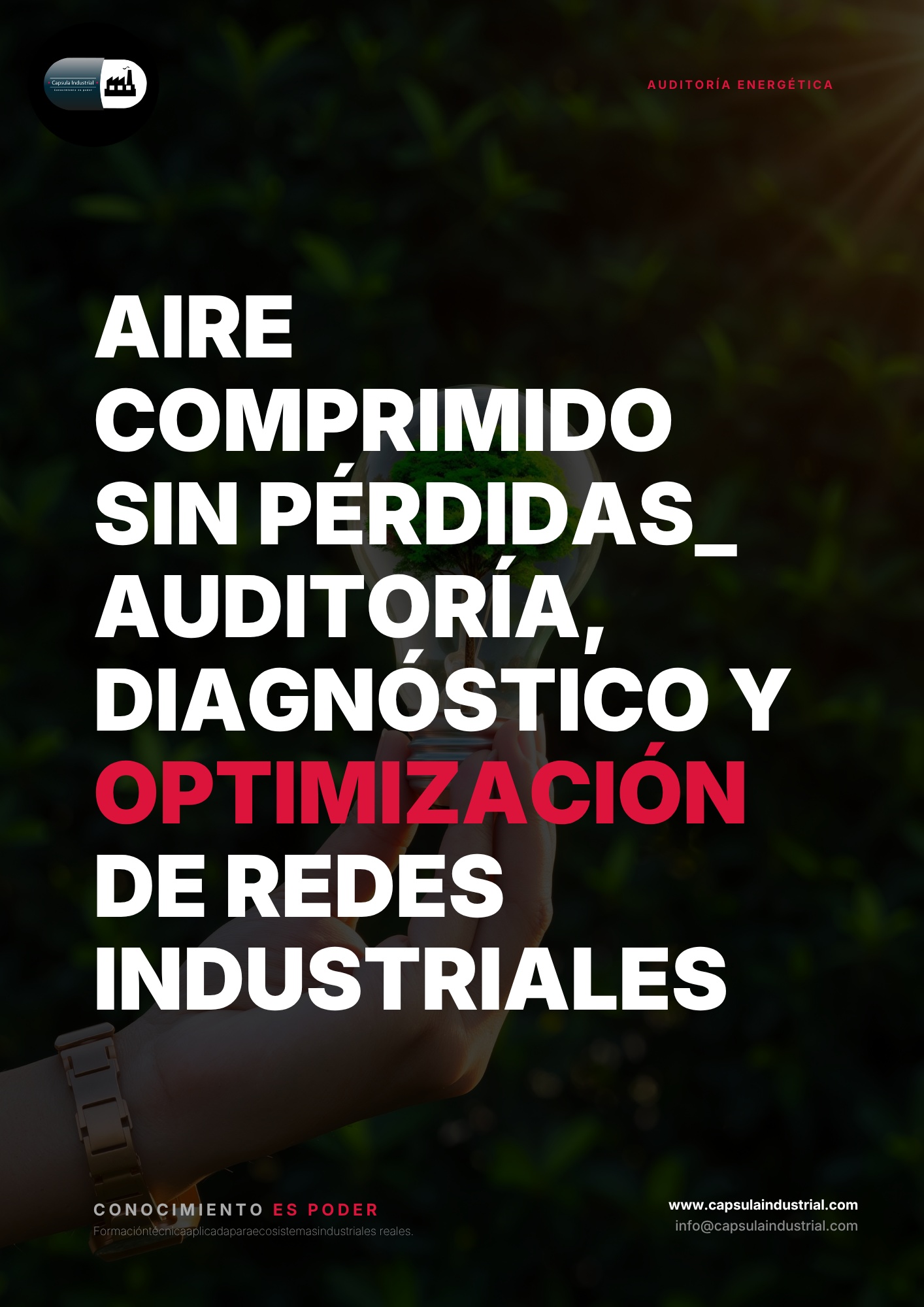 Aire Comprimido sin Pérdidas_ Auditoría, Diagnóstico y Optimización de Redes Industriales