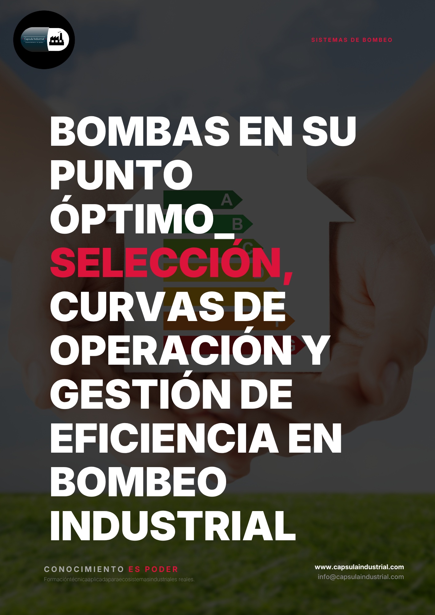 Bombas en su Punto Óptimo_ Selección, Curvas de Operación y Gestión de Eficiencia en Bombeo Industrial