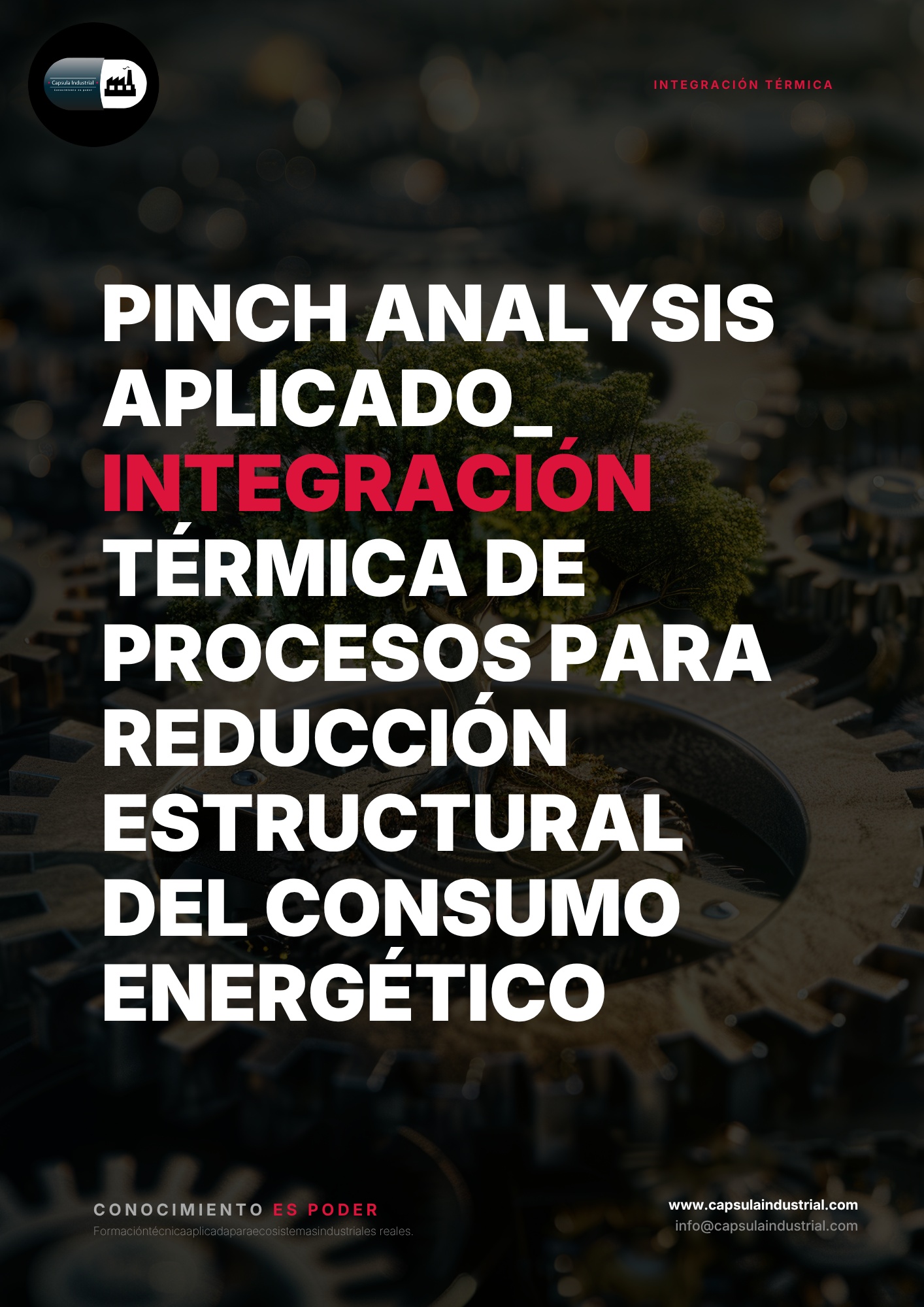 Pinch Analysis Aplicado_ Integración Térmica de Procesos para Reducción Estructural del Consumo Energético