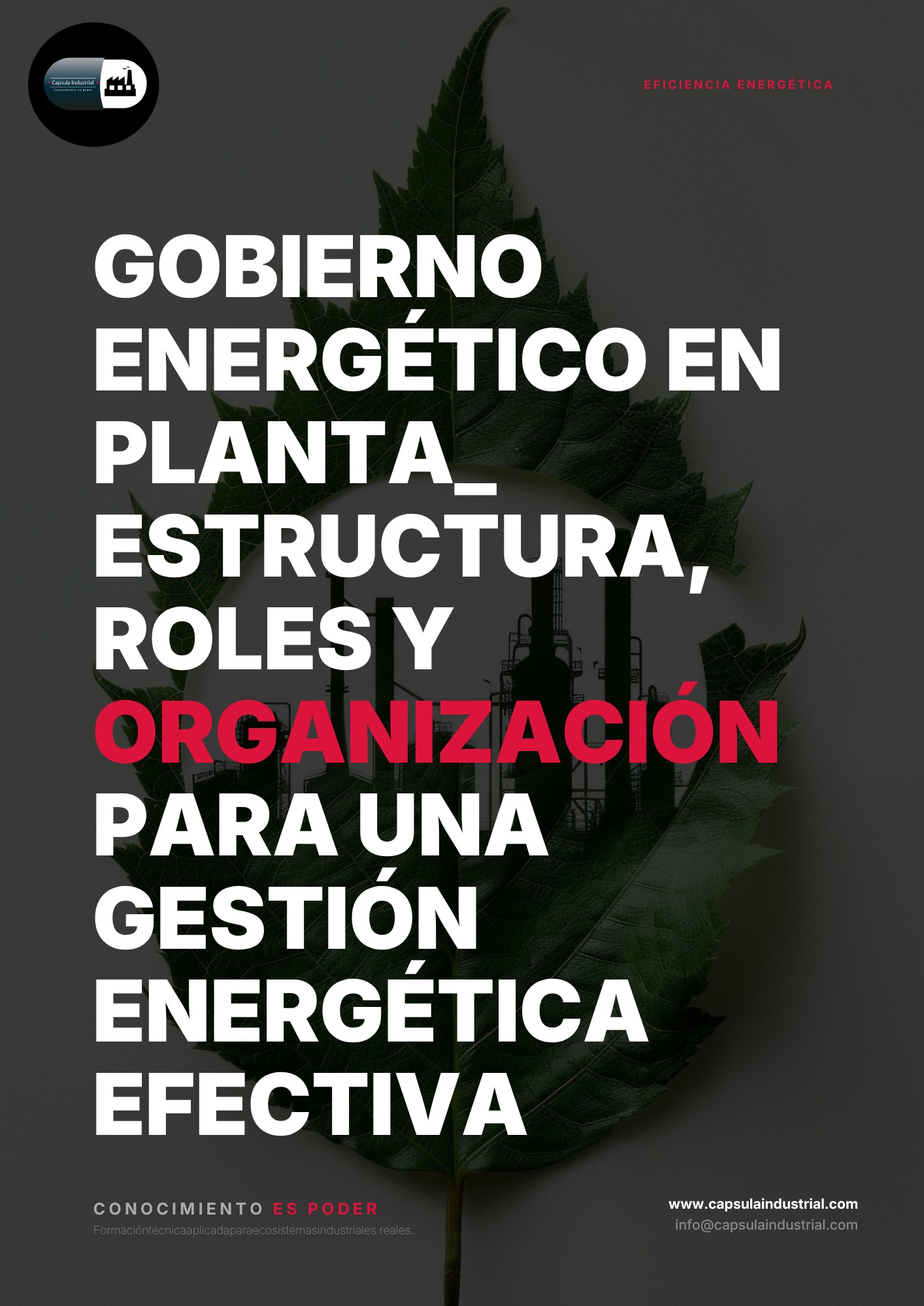 Gobierno Energético en Planta_ Estructura, Roles y Organización para una Gestión Energética Efectiva