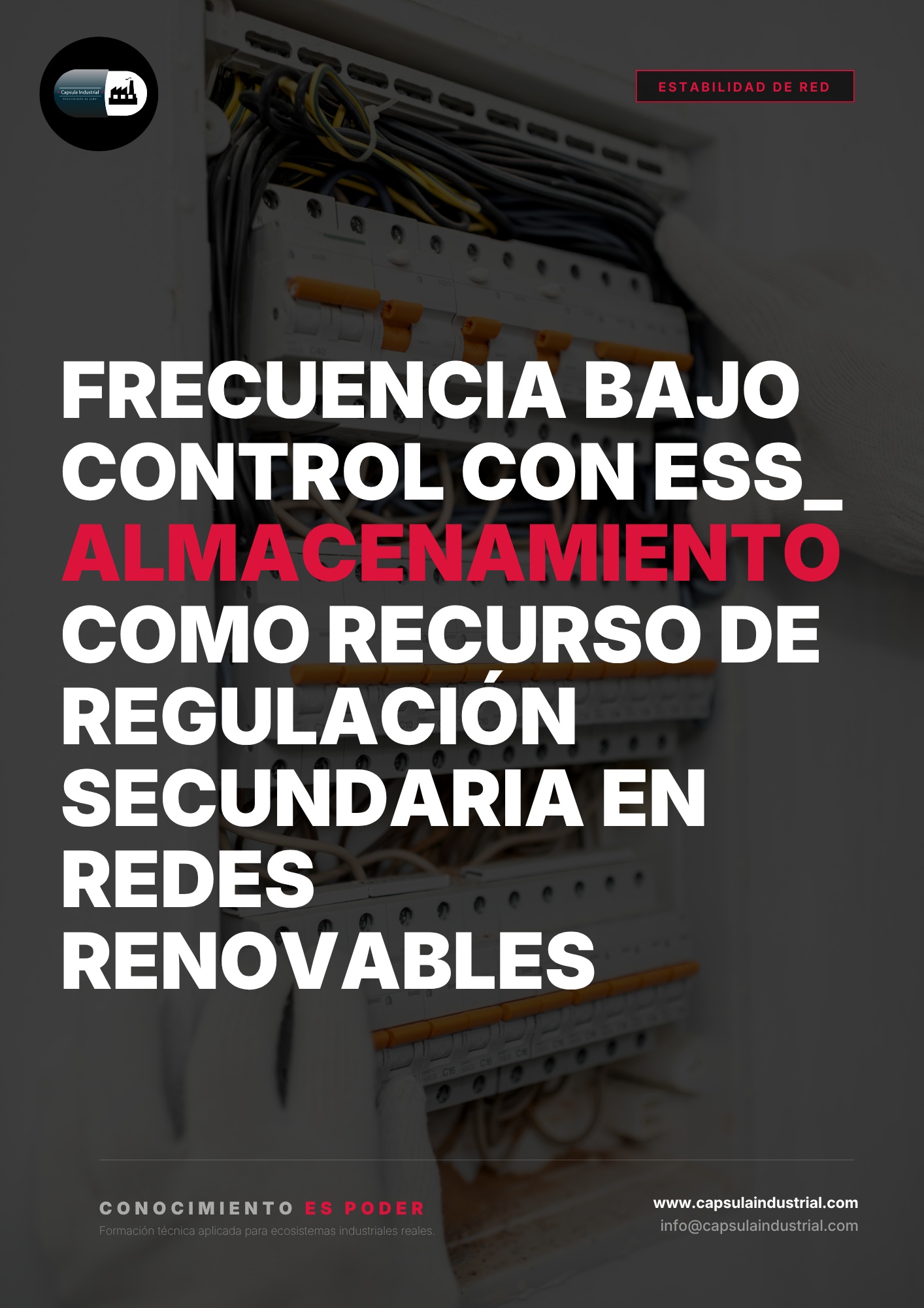 Frecuencia bajo Control con ESS_ Almacenamiento como Recurso de Regulación Secundaria en Redes Renovables