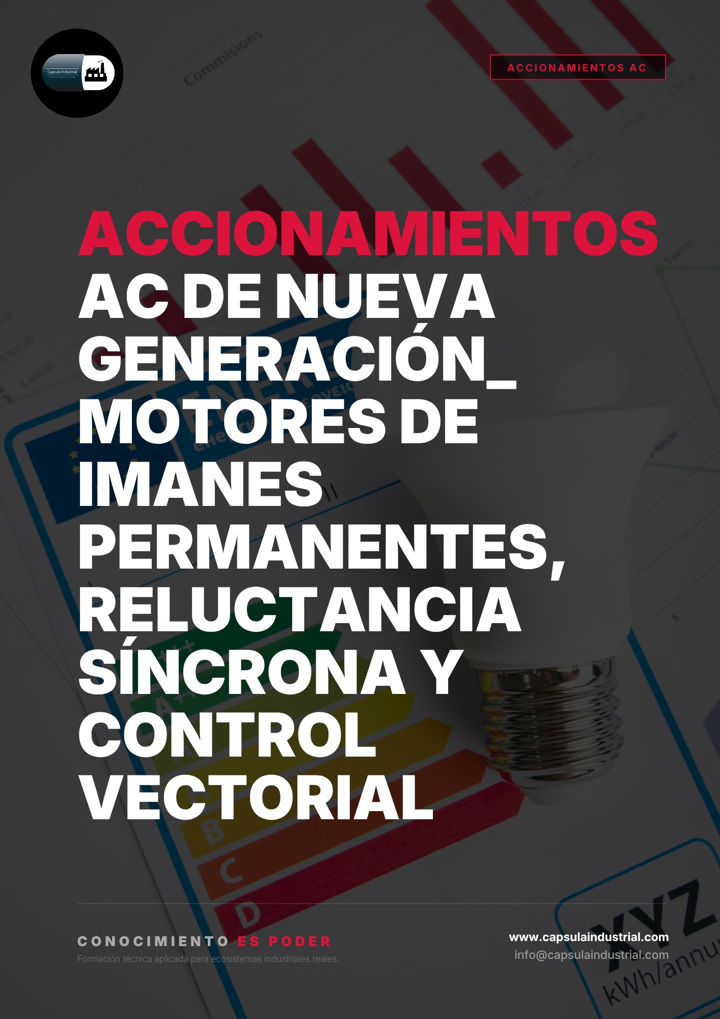 Accionamientos AC de Nueva Generación_ Motores de Imanes Permanentes, Reluctancia Síncrona y Control Vectorial